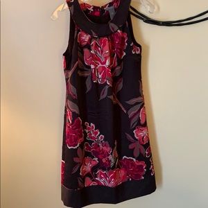Ann Taylor dress
